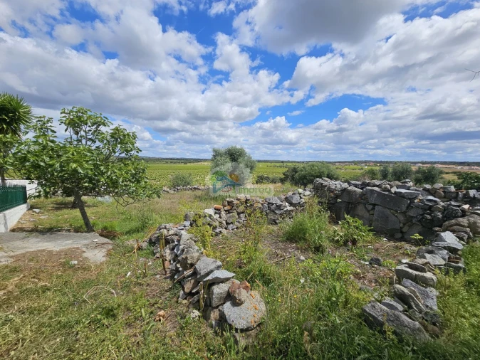 Quinta T3 para Venda em Reguengos de Monsaraz Foto 43