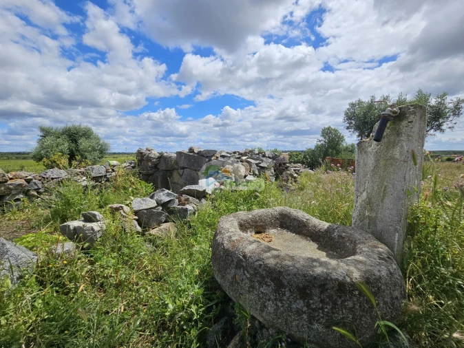 Quinta T3 para Venda em Reguengos de Monsaraz Foto 44