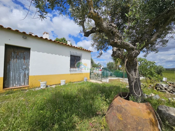 Quinta T3 para Venda em Reguengos de Monsaraz Foto 46