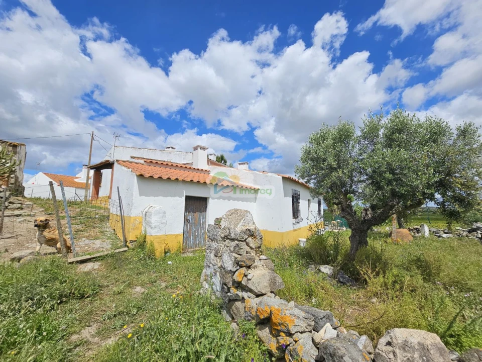 Quinta T3 para Venda em Reguengos de Monsaraz Foto 50