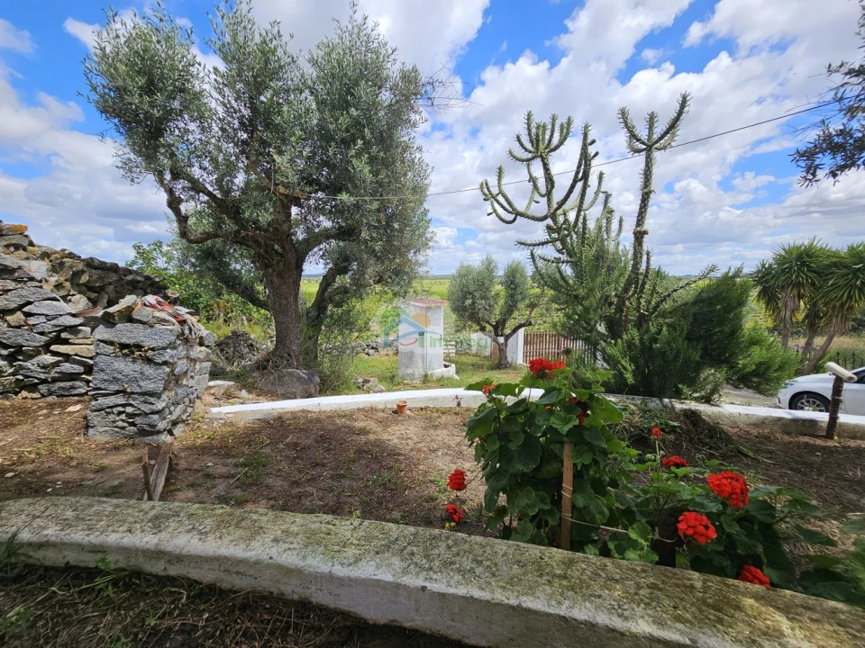 Quinta T3 para Venda em Reguengos de Monsaraz Foto 55