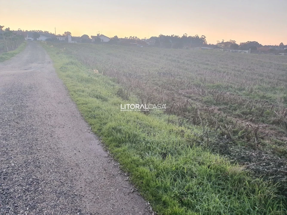Terreno para Venda em Oiã Foto 9