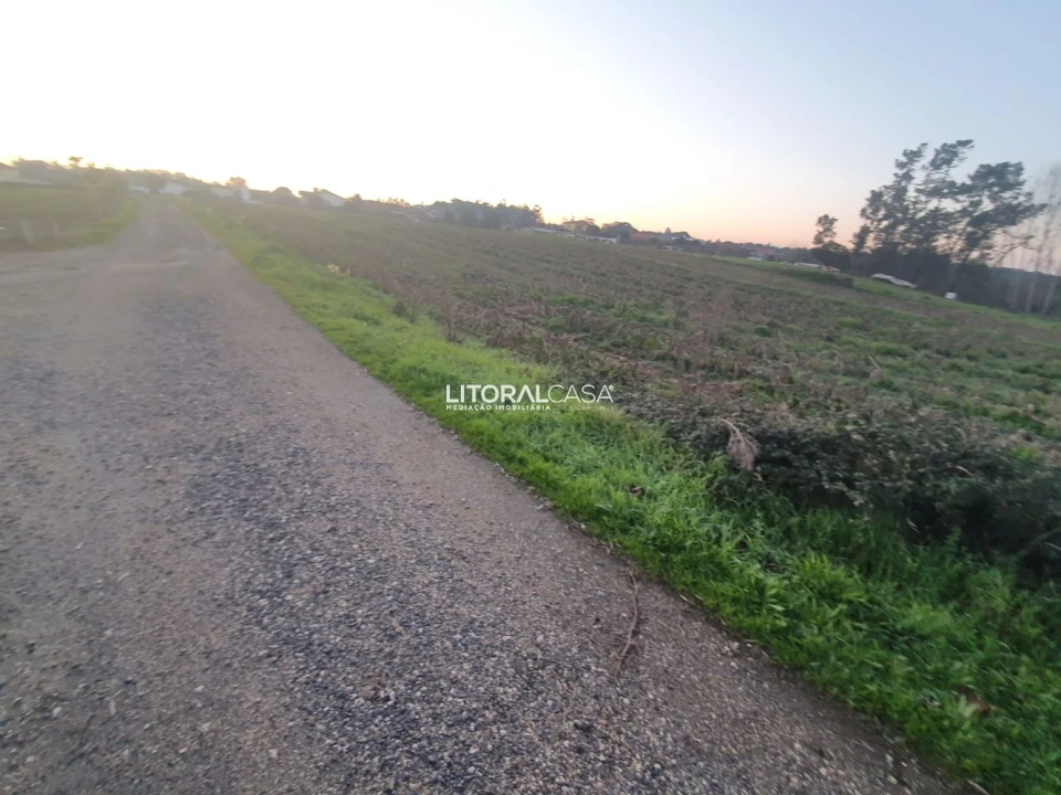 Terreno para Venda em Oiã Foto 11