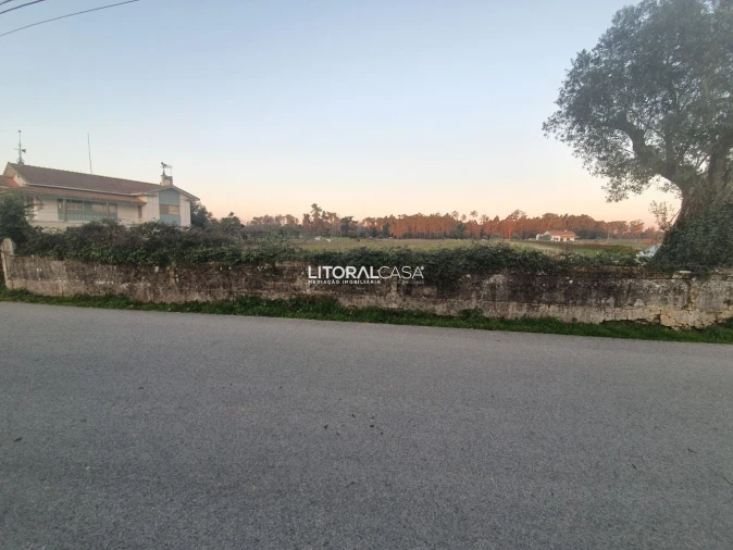 Terreno para Venda em Oiã Foto 3