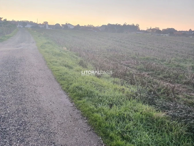 Terreno para Venda em Oiã Foto 9