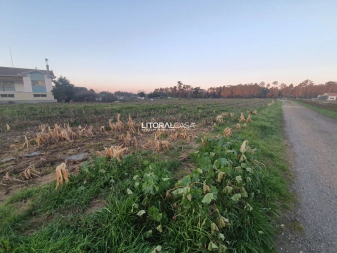 Terreno para Venda em Oiã Foto 7