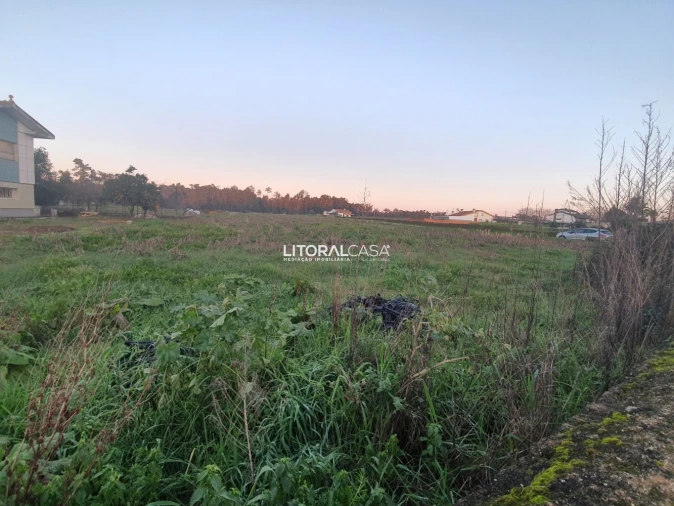 Terreno para Venda em Oiã Foto 8