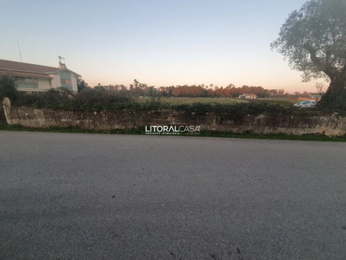 Terreno para Venda em Oiã Foto 1