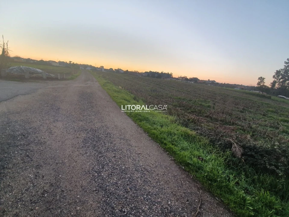 Terreno para Venda em Oiã Foto 12