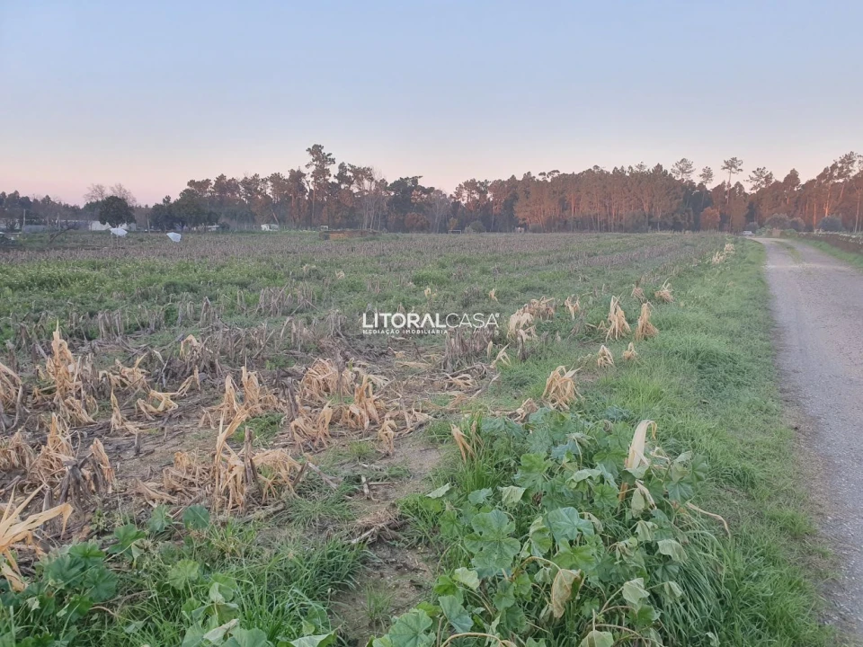 Terreno para Venda em Oiã Foto 5