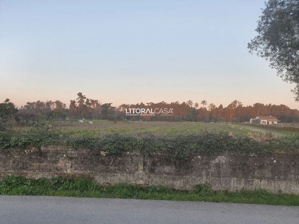 Terreno para Venda em Oiã Foto 4