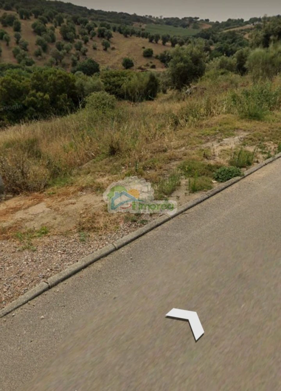 Terreno para Venda em Avis Foto 4