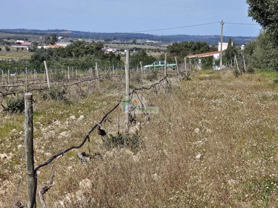 Terreno para Venda em Reguengos de Monsaraz Foto 8