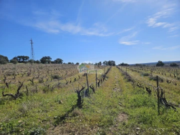 Terreno para Venda em Reguengos de Monsaraz