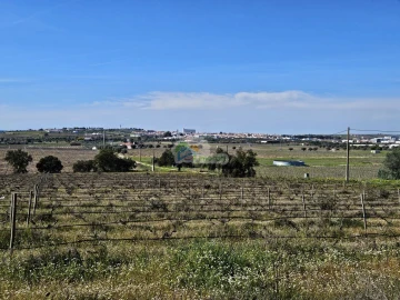 Terreno para Venda em Reguengos de Monsaraz