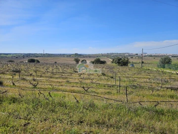 Terreno para Venda em Reguengos de Monsaraz