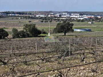 Terreno para Venda em Reguengos de Monsaraz