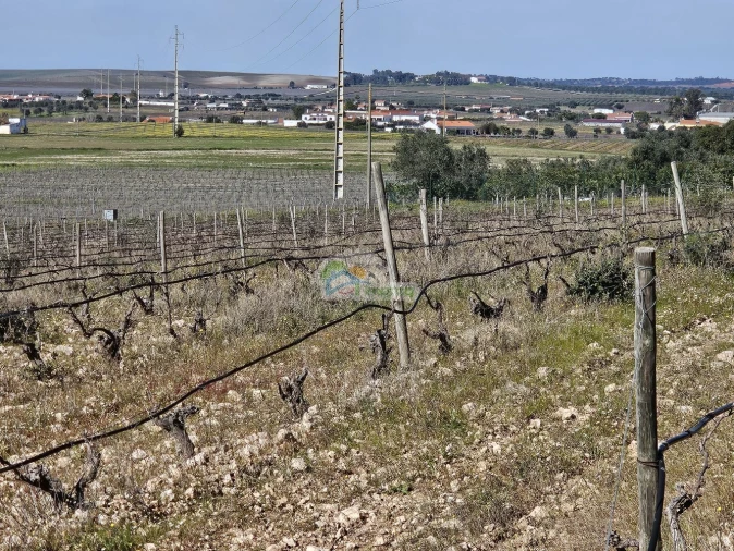 Terreno para Venda em Reguengos de Monsaraz Foto 10