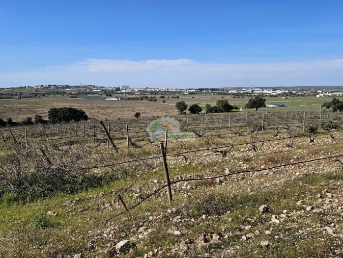 Terreno para Venda em Reguengos de Monsaraz Foto 11