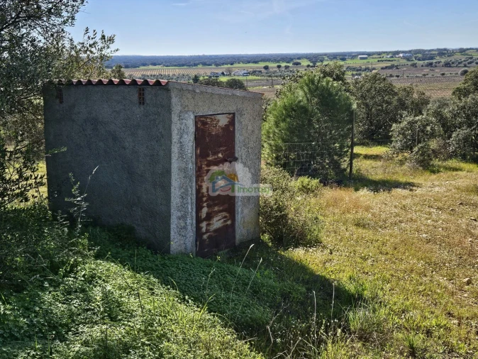 Terreno para Venda em Reguengos de Monsaraz Foto 6