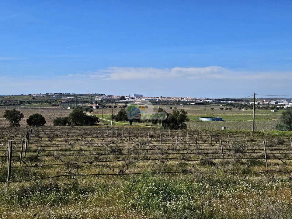 Terreno para Venda em Reguengos de Monsaraz Foto 5