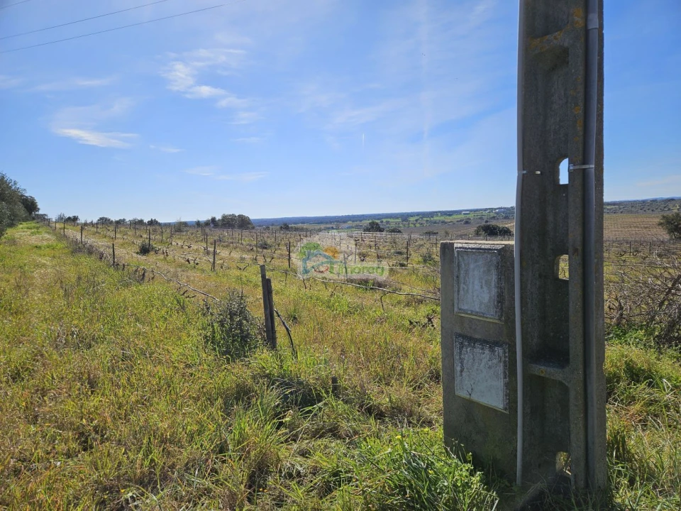 Terreno para Venda em Reguengos de Monsaraz Foto 2