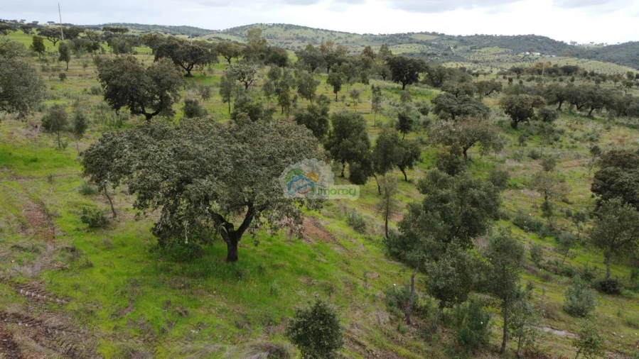 Quinta T0 para Venda em Reguengos de Monsaraz Foto 9
