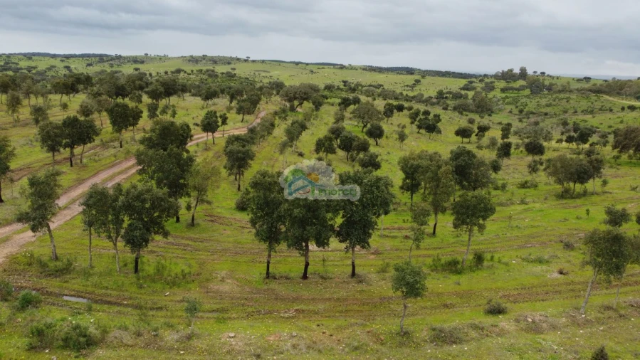 Quinta T0 para Venda em Reguengos de Monsaraz Foto 6