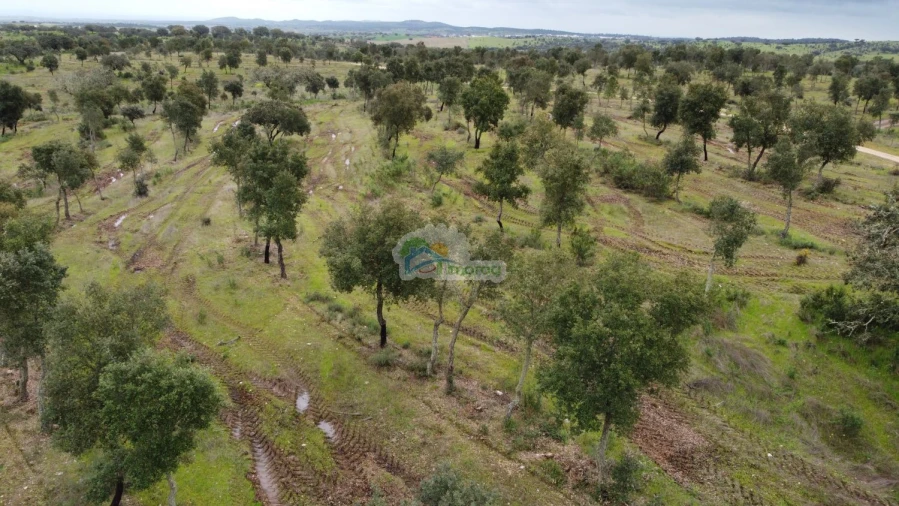 Quinta T0 para Venda em Reguengos de Monsaraz Foto 4