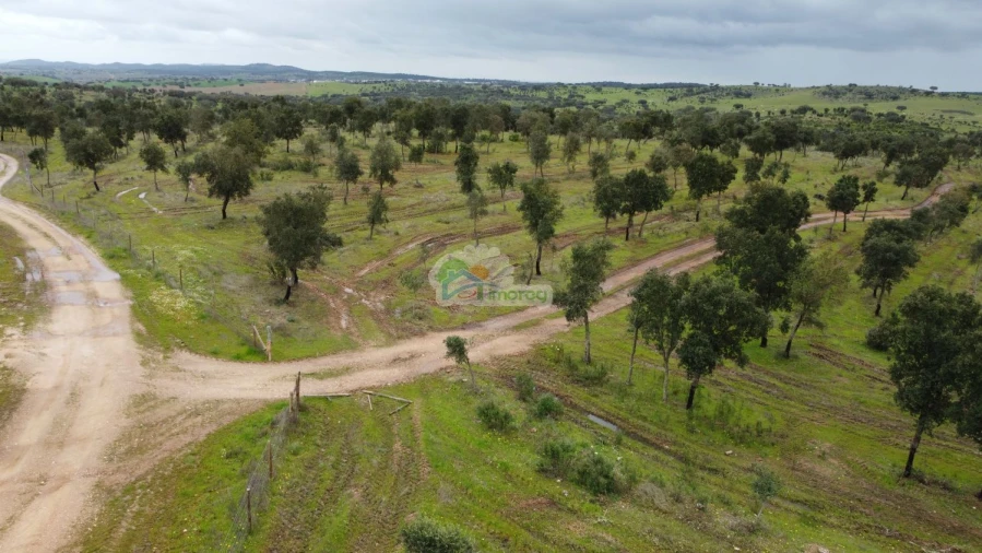 Quinta T0 para Venda em Reguengos de Monsaraz Foto 7