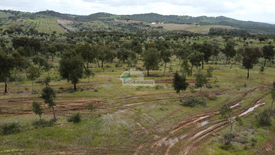 Quinta T0 para Venda em Reguengos de Monsaraz Foto 8