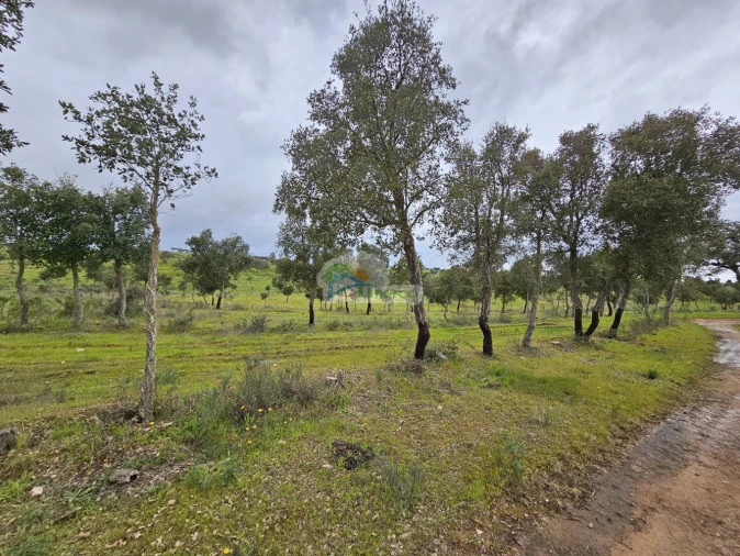 Quinta T0 para Venda em Reguengos de Monsaraz Foto 1