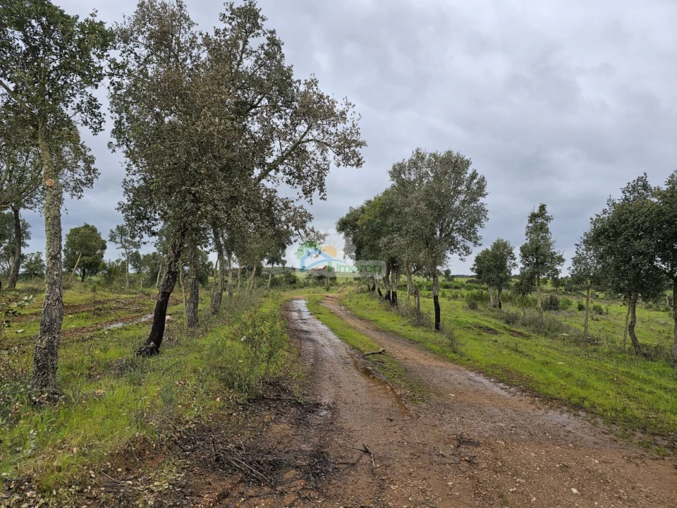 Quinta T0 para Venda em Reguengos de Monsaraz Foto 10