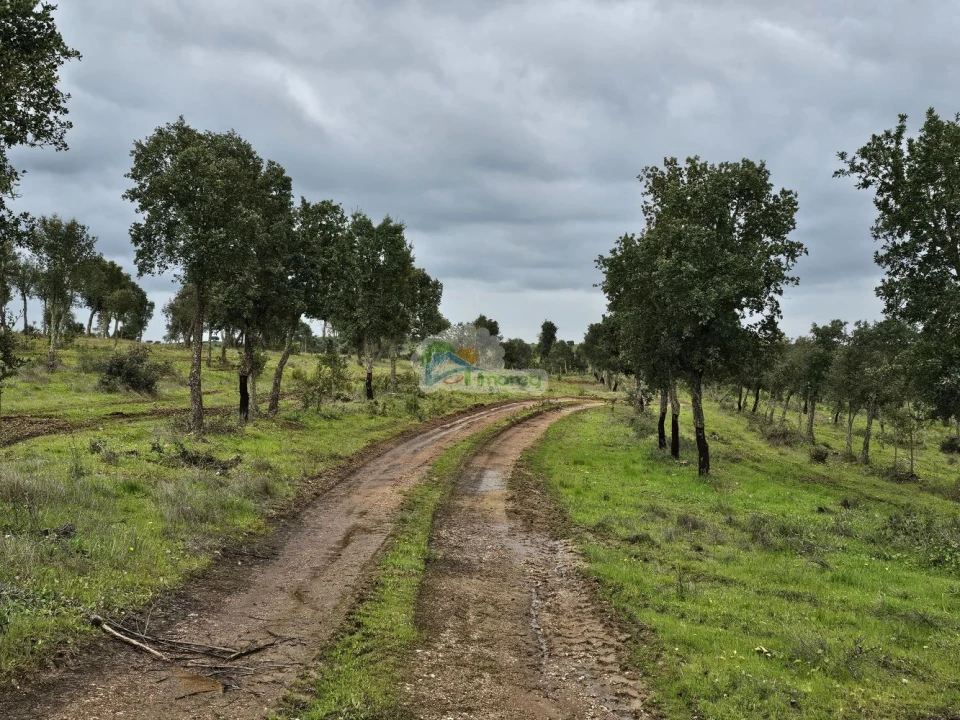 Quinta T0 para Venda em Reguengos de Monsaraz Foto 2