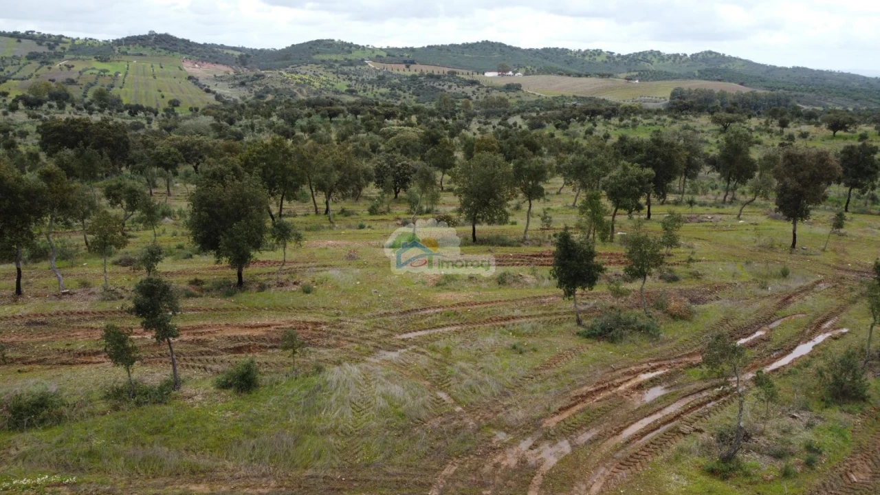Quinta T0 para Venda em Reguengos de Monsaraz Foto 8