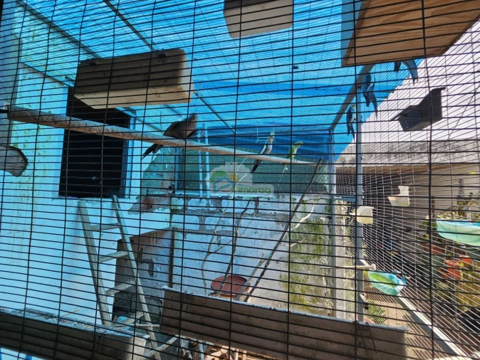 Moradia T3 para Venda em Reguengos de Monsaraz Foto 18