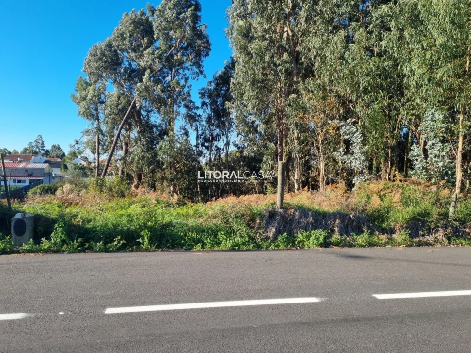 Terreno para Venda em Santa Joana Foto 11