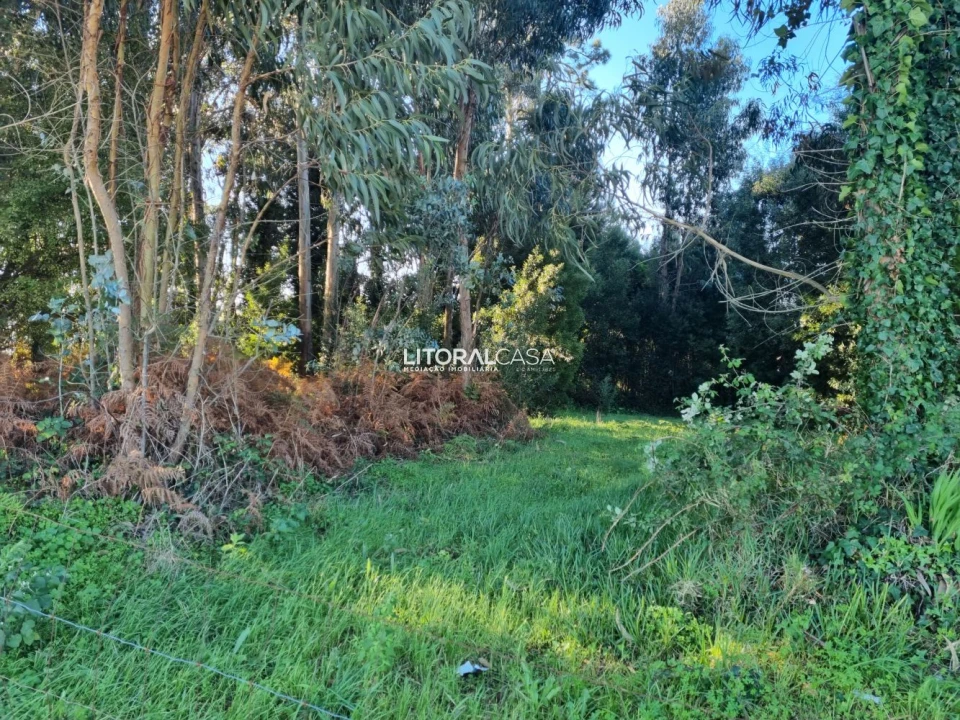 Terreno para Venda em Santa Joana Foto 17