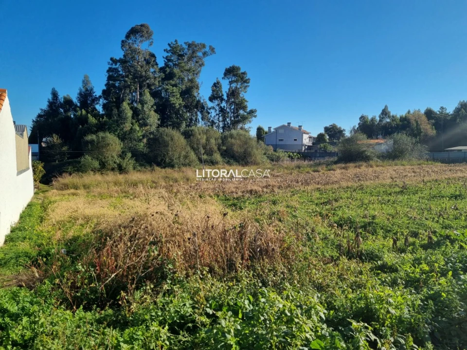 Terreno para Venda em Santa Joana Foto 4
