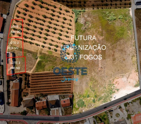 Terreno para Venda em Peral Foto 12