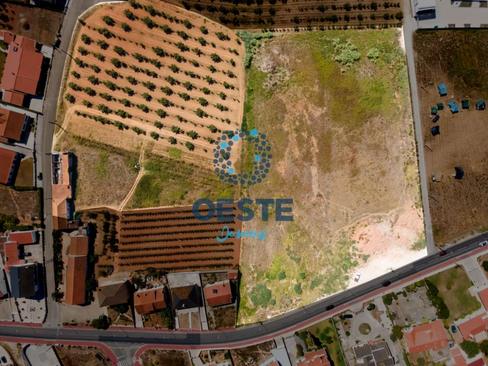 Terreno para Venda em Peral Foto 22