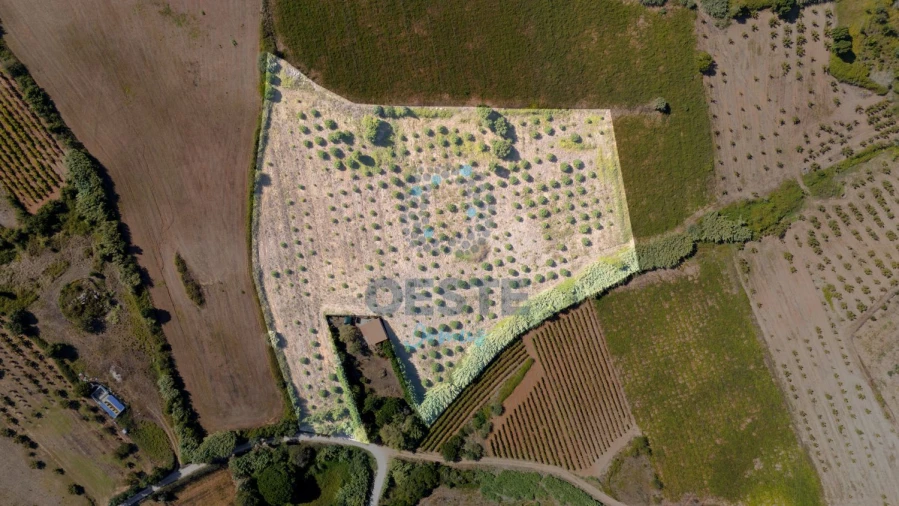 Terreno para Venda em Carvalhal Foto 3