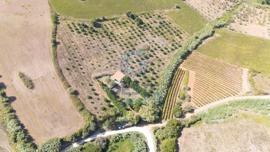 Terreno para Venda em Carvalhal Foto 4