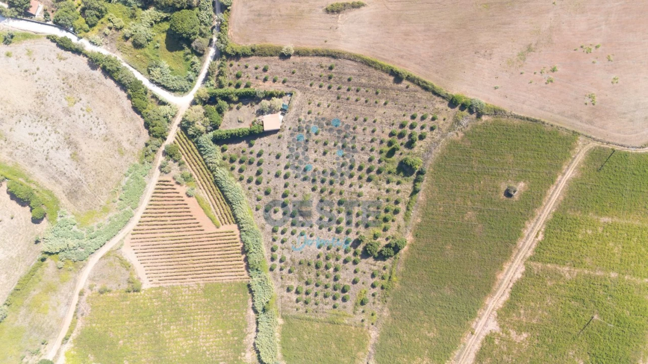 Terreno para Venda em Carvalhal Foto 1