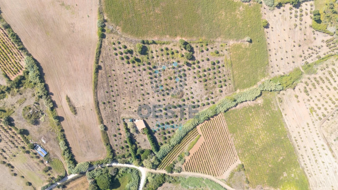 Terreno para Venda em Carvalhal Foto 6