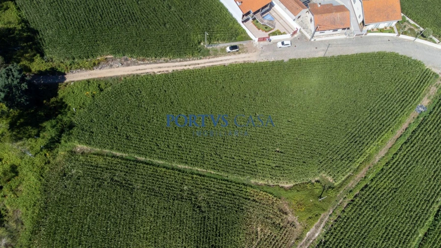 Terreno para Venda em Labruge Foto 9