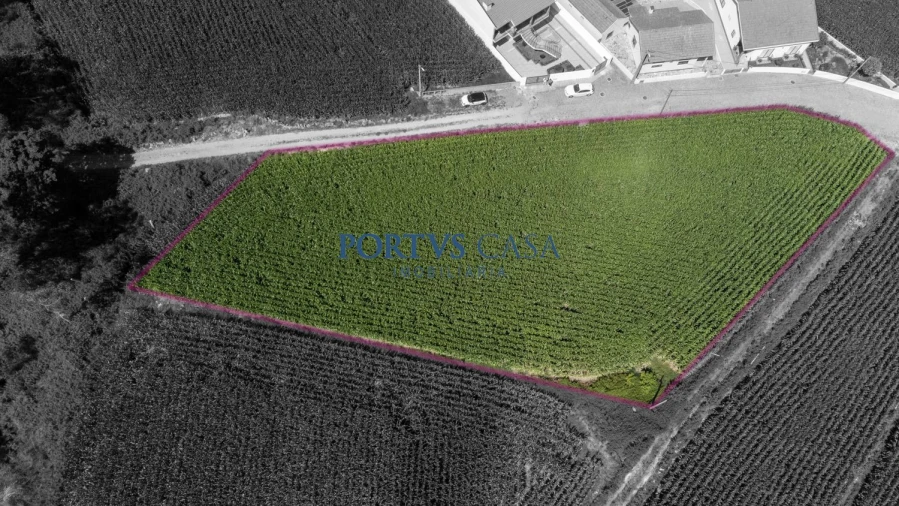 Terreno para Venda em Labruge