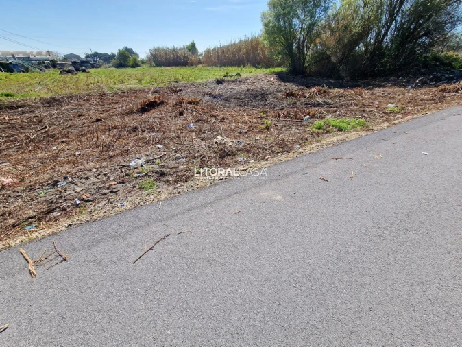 Terreno para Venda em Murtosa Foto 7