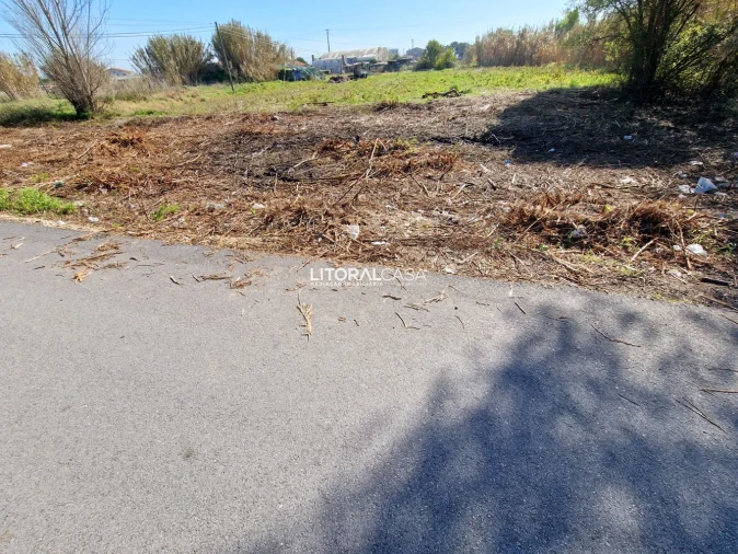 Terreno para Venda em Murtosa Foto 6