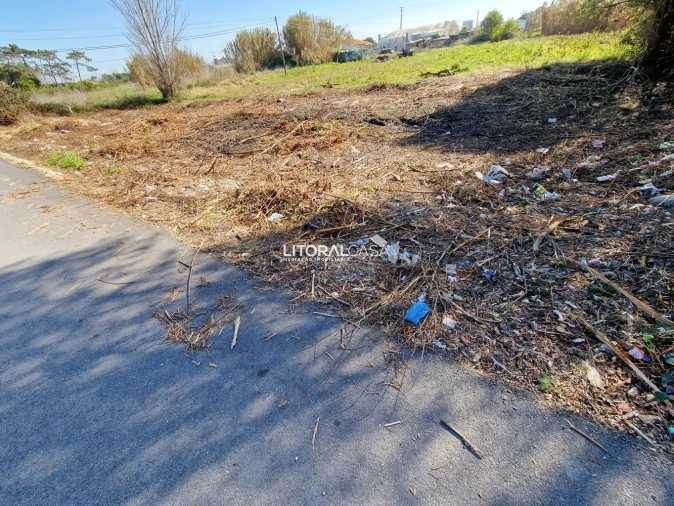 Terreno para Venda em Murtosa Foto 5